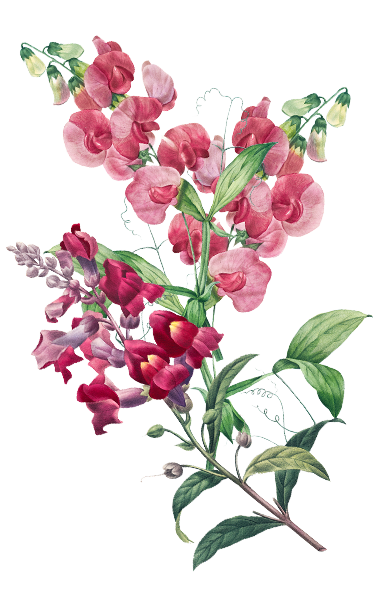 Banjar Couple Belakang 2.png