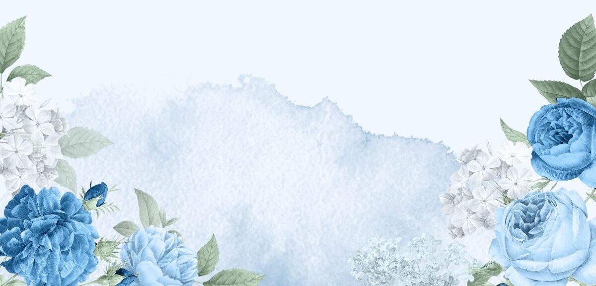 IMG 0884 e1733670101996.jpeg