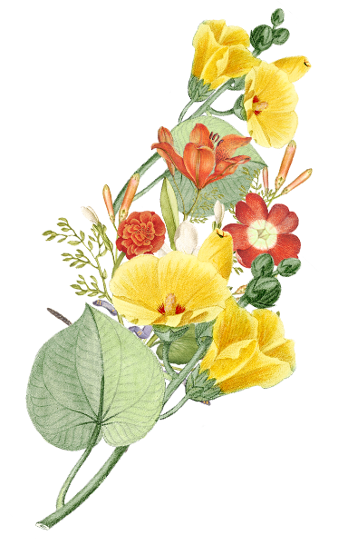 Melayu Couple Belakang 1.png