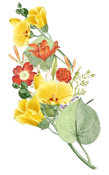 Melayu Couple Belakang 2.png