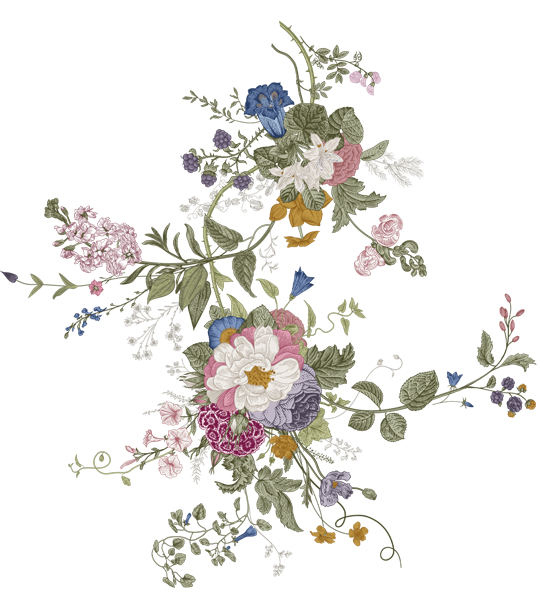 Bunga green castem mo 2 e1756730614712.png