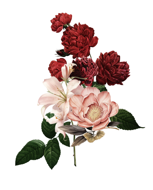 Bunga minang Pc6Gt1.png